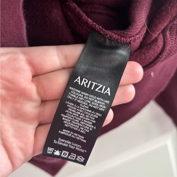 Aritzia Boyfriend/Mega Fit Sweatfleece Cozy Fleece Burgundy Hoodie and Pant Set - Picture 8 of 16